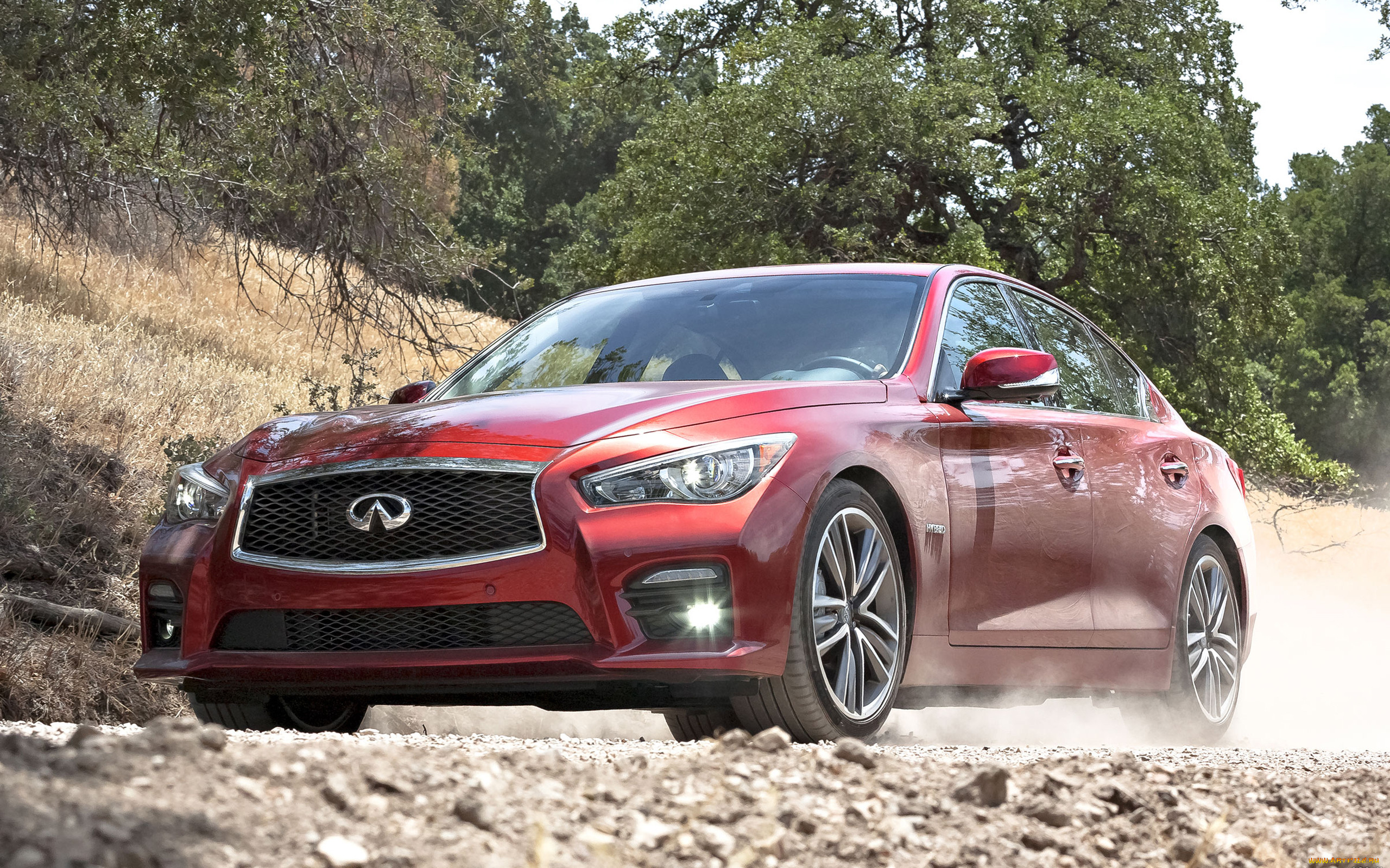 , infiniti, q50, cars